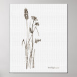Wildflower Poster