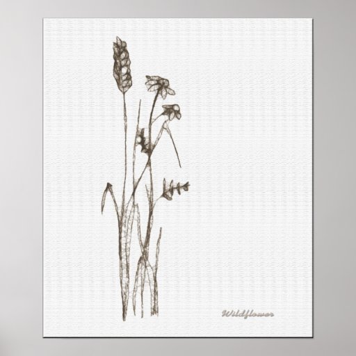 Wildflower Poster