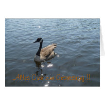 Wildgans Gans Geburtstagskarte