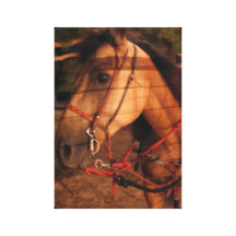 Wildleder Leinwanddrucke