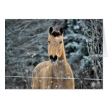 Wildleder-Pferdewinter Grußkarten