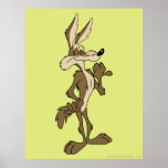 Wile E. Coyote Looking stolz Plakat