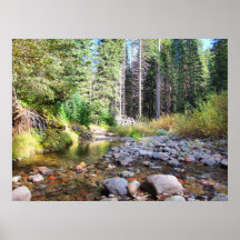 Willamette staatlicher Wald Plakatdrucke