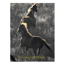 Willkommen zu Nebraska-Postkarte