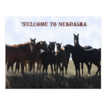 Willkommen zu Nebraska-Postkarte