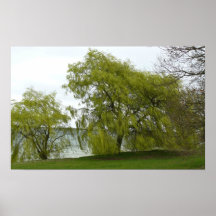 Wind in den Weiden Posterdrucke