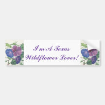 Winden Auto Sticker