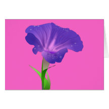 Winden-Blume lila Karte