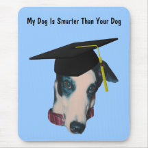 Windhund mein Hund intelligenter als Ihr lustiges 