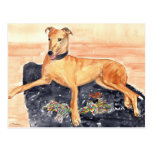 "Windhund-" Postkarte
