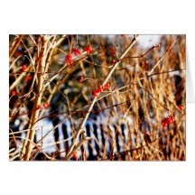 Winter-Beere Notecards Grußkarte