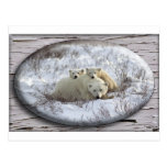 Winter-Familie Postkarten