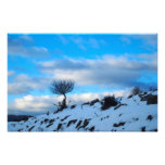 Winter Fotografien