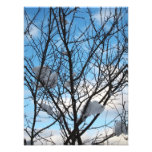 Winter Photographischer Druck