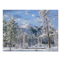 Winter in Yellowstone Nationalpark, Wyoming Foto