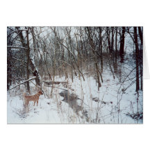 Winter-Märchenland Grußkarte