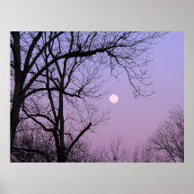 Winter-Mond Posterdrucke