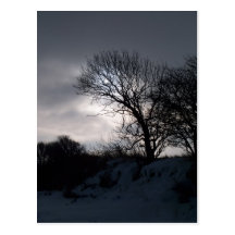 Winter Postkarte