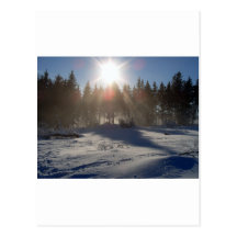 Winter Postkarte