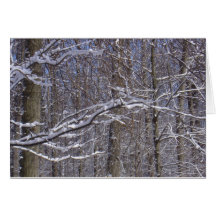 Winter-Spitze Karte