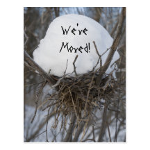 Winter-Vogel-Nest-Adressenänderung Postkarte