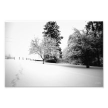 Winter-Wege Fotos