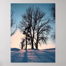 Winterbäume auf Hintergrund des blauen Himmels der Plakat