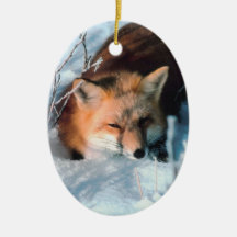 Winterfox-Tier-Foto-Weihnachtsverzierung Weihnachtsbaum Ornamente