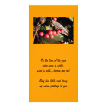 Wintergrußkarte, rote Beeren Photokartenvorlage
