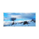 Winterlandschaft Gespannter Galeriedruck