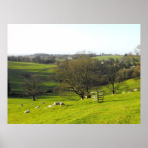 Winterlandschaft nahe Mangoldgemüse in Somerset Posterdruck