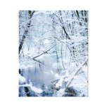 Winternebenfluß Leinwand Drucke