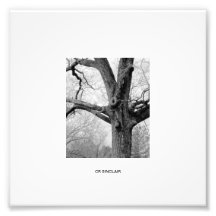 WINTERS, der durch CR SINCLAIR sich AUSZIEHT Kunst Fotos