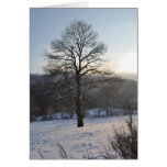 Wintersonnenuntergang-Feiertagskarte