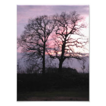 wintertime picture photo druck