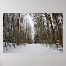 Winterwald Plakate