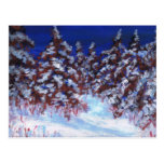 Winterwald Postkarte