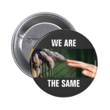 Wir sind die selben anstecknadelbuttons