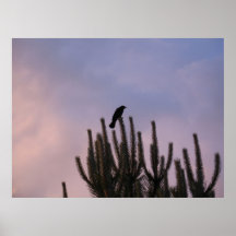 WISCONSIN-NÄCHTLICHER HIMMEL PLAKATDRUCK