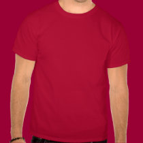 Wisconsin-Protest-Hemd t-shirts