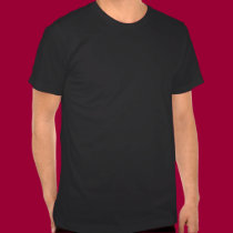 Wisconsin-Protest-T-Shirt t-shirts