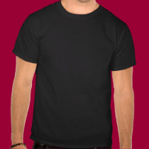 Wisconsin-Protest-T-Shirt t-shirts