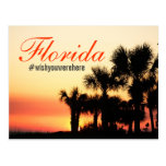 #wishyouwerehere hashtag - Florida-Palmensonnenunt Postkarten