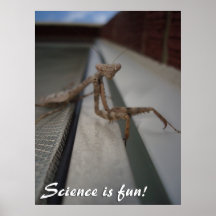 Wissenschaft ist Spaß! Plakat