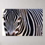 Wo das Zebra-Plakat ist