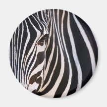 Wo ist der Zebra? Kühlschrankmagnet