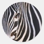 Wo ist der Zebra? Runde Aufkleber