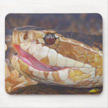 Wo ist mein teefff? mousepads