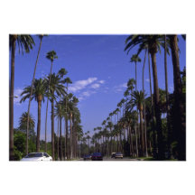 Wohnrodeo-Antrieb, Beverly Hills, Kalifornien Individuelle Einladungen