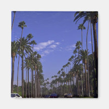 Wohnrodeo-Antrieb, Beverly Hills, Kalifornien Kühlschrankmagnete